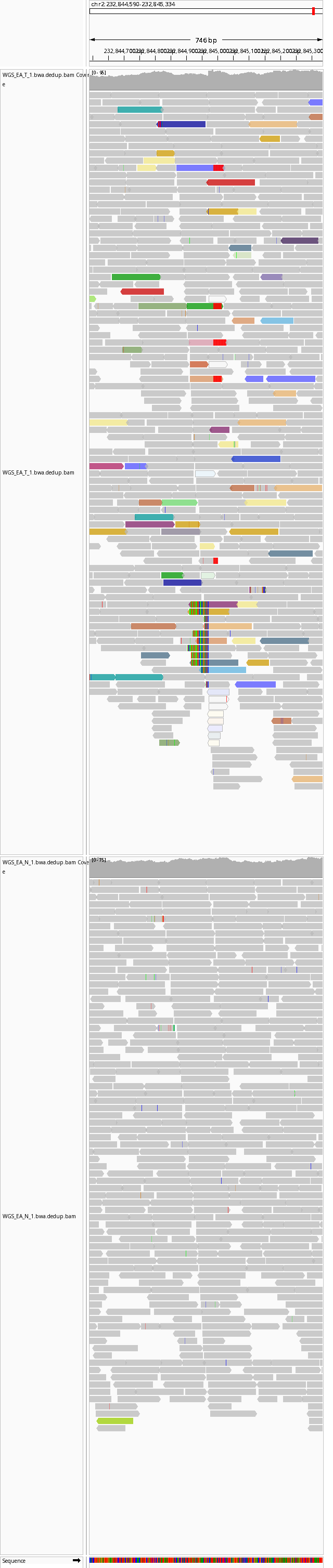 IGV snapshot of a tumor-only novel unnested LINE-1 insertion at GRCh38 chr2:232844590-232845334 detected by retrotransposon-miner